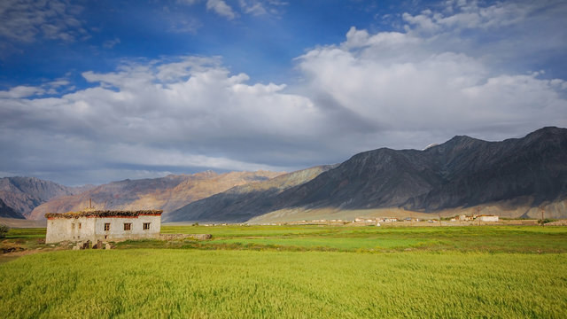 Greenfield of Padum Valley, Zanskar, Ladakh region, India.