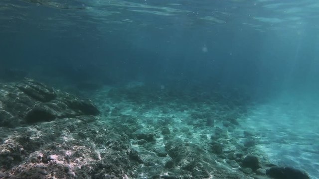 scuba diving underwater
