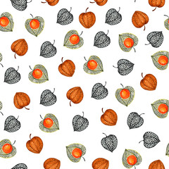Pattern with physalis. Watercolor illustration.
Autumn illustration for printing. Botanical background.