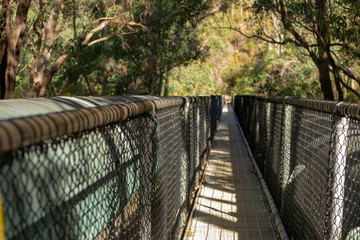 Bridge of serpentine falls arround nature