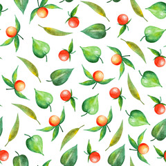 Pattern with berries of physalis. Watercolor illustration.
Summer illustration for printing. Botanical background. Great pattern for summer dresses, skirts, bags.