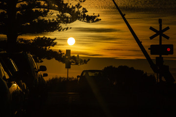 silhouette landscape at sunset orange