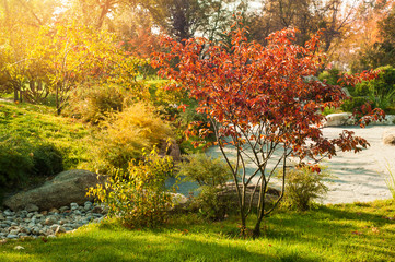 Naklejka premium Autumnal background of park