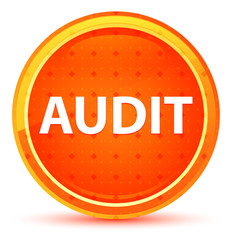 Audit Natural Orange Round Button