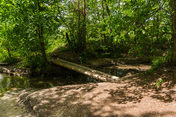 wooden bridge in the forest