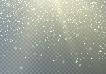 Falling Snowflakes transparent background. Frost Snow and Sunshine. Winter pattern with crystallic snowflakes. Christmas and New Year background. Vector illustration