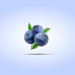 blueberry 