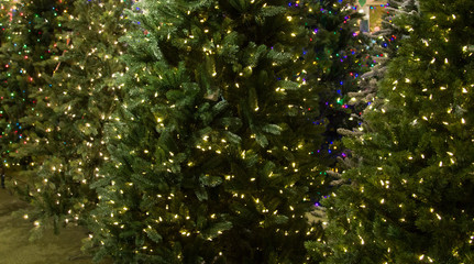 Picking Out The Perfect Christmas Tree. Row of illuminated artificial Christmas trees for sale.