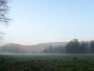 morning fog on meadow with trees and hills with forest silhouettes in back