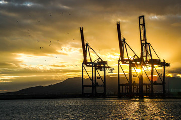 Fototapeta na wymiar Silhouette of industrial cranes during a beautiful golden sunset in the harbour of Malaga.