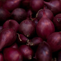 funny flower bulbs prepared for planting or storage