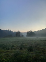 Fototapeta na wymiar morning fog on meadow with trees and hills with forest silhouettes in back