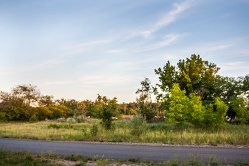 rural landscape