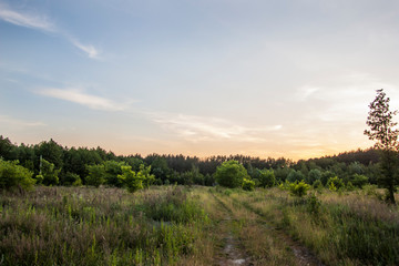 landscape with blue sky and clouds