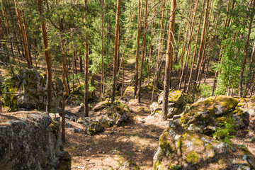 лес и скалы