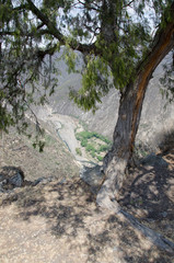 pe&ntilde;a del aire, hidalgo mexico pasaje verde con arboles, ca&ntilde;adas y rocas, algunos nopales con espinas