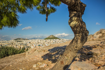 creative foreshortening to lonely mountain inside city between many small houses with view through tree frame, summer colorful warm weather, empty blue sky