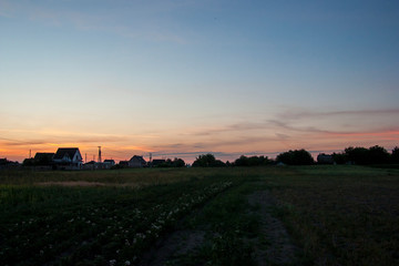 Fototapeta premium sunset over field