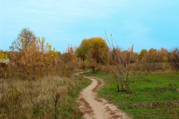 Nature, Travel, Concept. Beautiful Nature Background.  The Road To The Forest.
