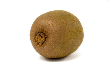 Fototapeta premium kiwi kivi