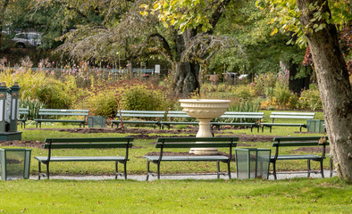lonely benches in the park during autumn, no people, public gardens