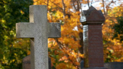 Old cross in cemetery during autumn, no people, religion, peace