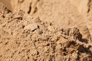 Sand, Braune Sandfläche