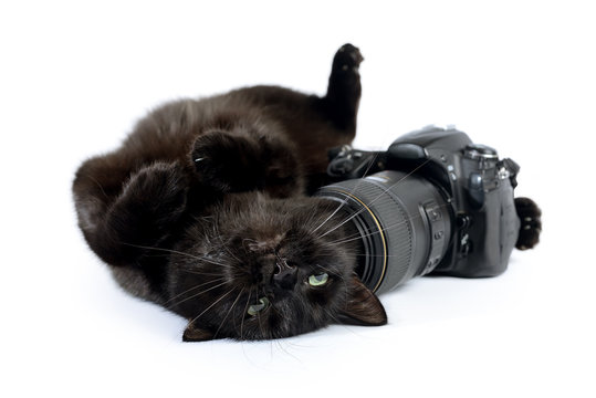 Funny black cat is photographer with DSLR camera on white