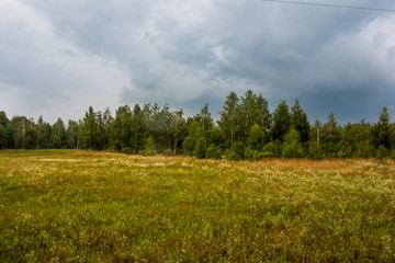 Fototapeta premium rainy landscape