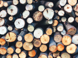 Round firewood, stacked in woodpile, texture