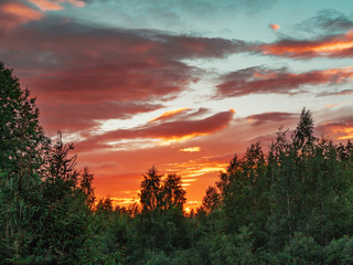 Colorful sunset in the cloudy sky above the green forest
