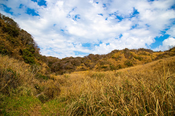 秘境　自然風景