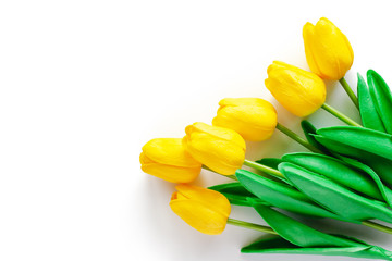 Artificial yellow tulips on white background for nature decoration and springtime concept