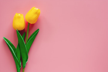 Artificial yellow tulips on pink background for nature decoration and springtime concept