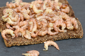 north sea crabs on black bread on black slate