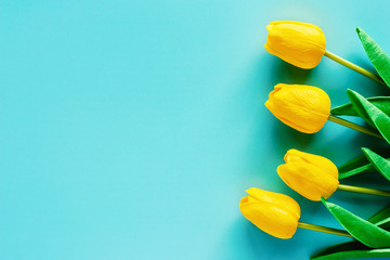 Artificial yellow tulips on blue background for nature decoration and springtime concept