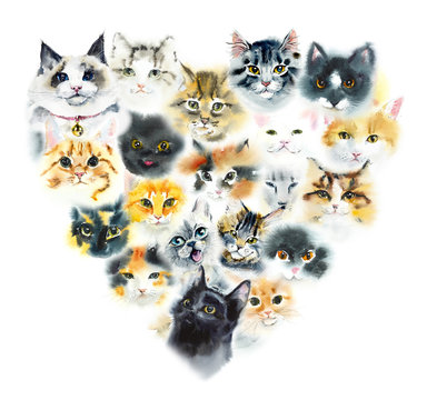 Domestic cats. Cats background. Watercolor hand drawn illustration