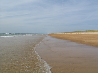 Hossegor - Aquitaine - France