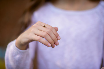 Ladybug on girl's hand