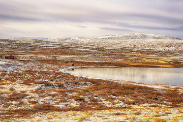 Lake Masingtjoenna,Oppdal area,  Norway