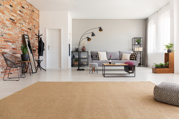 Beige carpet in modern living room interior with grey couch, industrial black metal lamp, wooden...