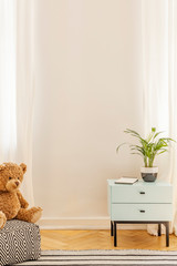 Empty wall in a teenager room interior with a cabinet, plant and teddy bear. Place your poster
