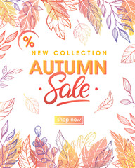 Autumn special offer banner with autumn leaves and floral elements in fall colors.Sale season card perfect for prints, flyers,banners, promotion,special offer and more. Vector autumn promotion.