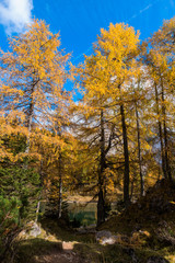 Colorful autumn morning in the mountains. Colourful autumn morning in mountain lake. Colorful autumn landscape.