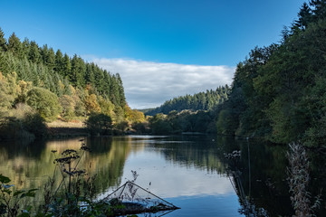 Obraz premium pond in forest with trees and mountains