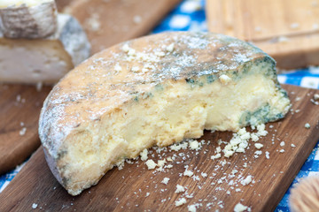 Organic homemade cheese.