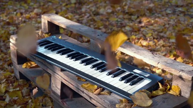 The synthesizer lies in the forest on the yellow leaves. Yellow leaves fall on the synthesizer. Autumn forest.