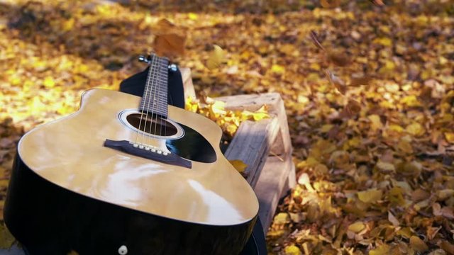 The guitar lies in the forest on the yellow leaves. Yellow leaves fall on the guitar. Autumn forest.