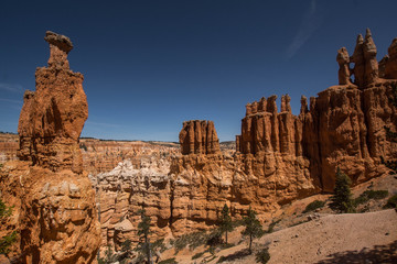 Fototapeta premium Bryce Canyon Nationalpark