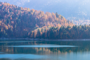 Herbstwald am See - 229186308